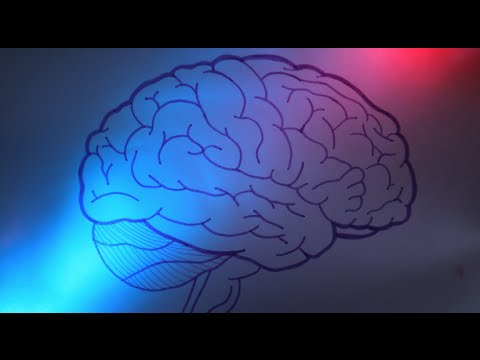 Como afectan las drogas al cerebro
