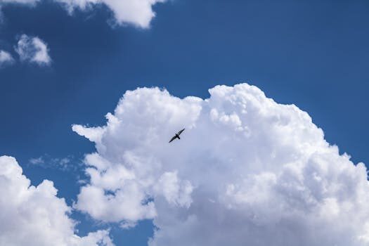 como superar el miedo a volar 2