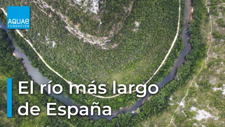 Cual es el rio mas caudaloso de espana